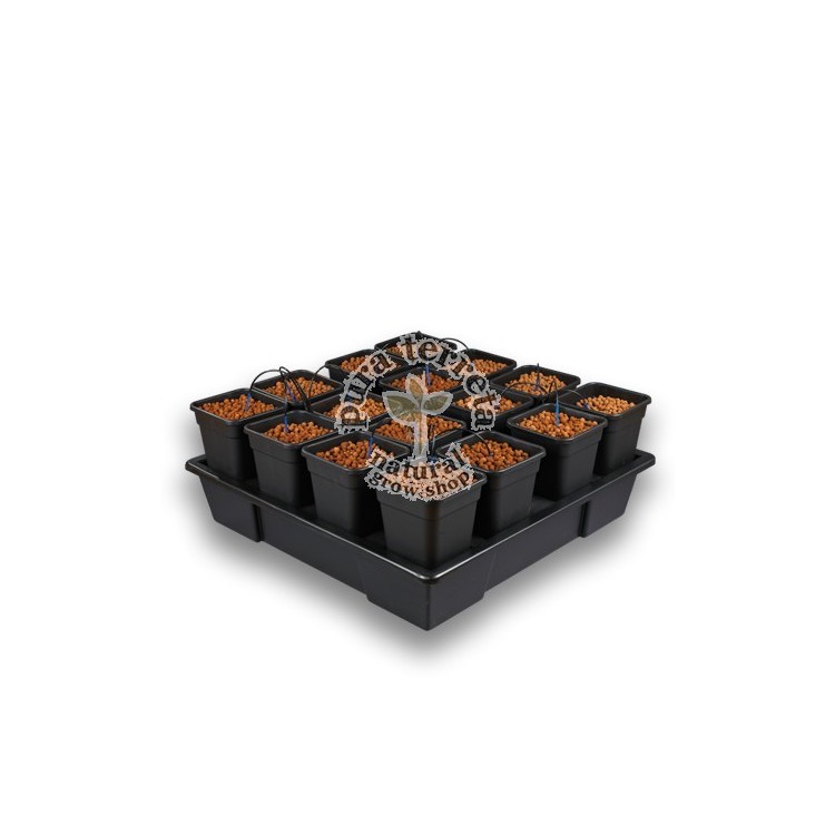 Wilma XXL16 completo 11L