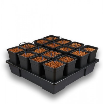 Wilma XXL16 completo 11L