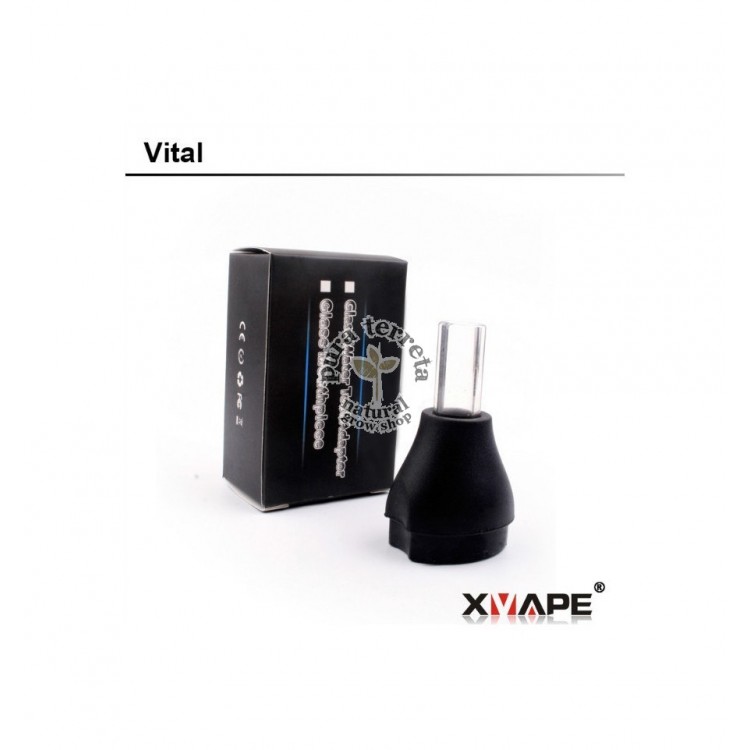 Glass Mouthpiece Vital 