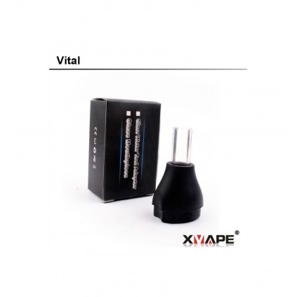 Glass Mouthpiece Vital 