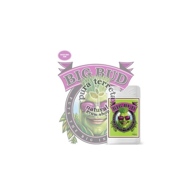 Big Bud Advanced Nutrients