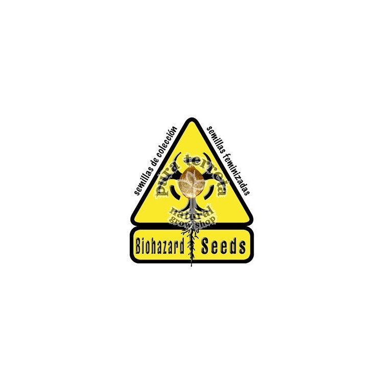 Coleccionista 2 Biohazard Seeds