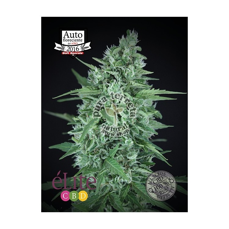 La Rica Auto CBD Elite seeds