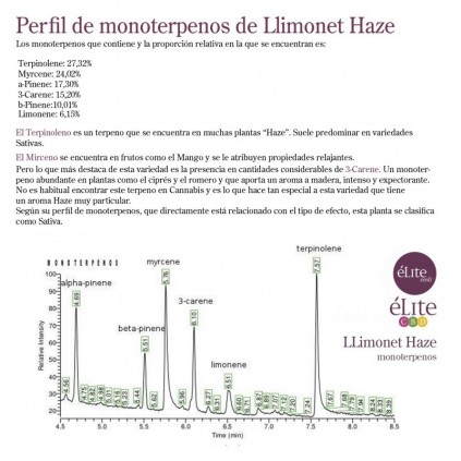 Llimonet Haze Auto CBD Elite seeds