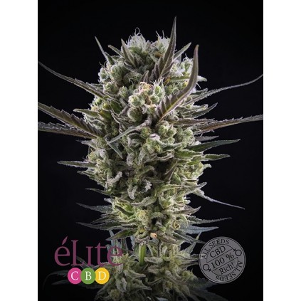 Llimonet Haze CBD Elite seeds