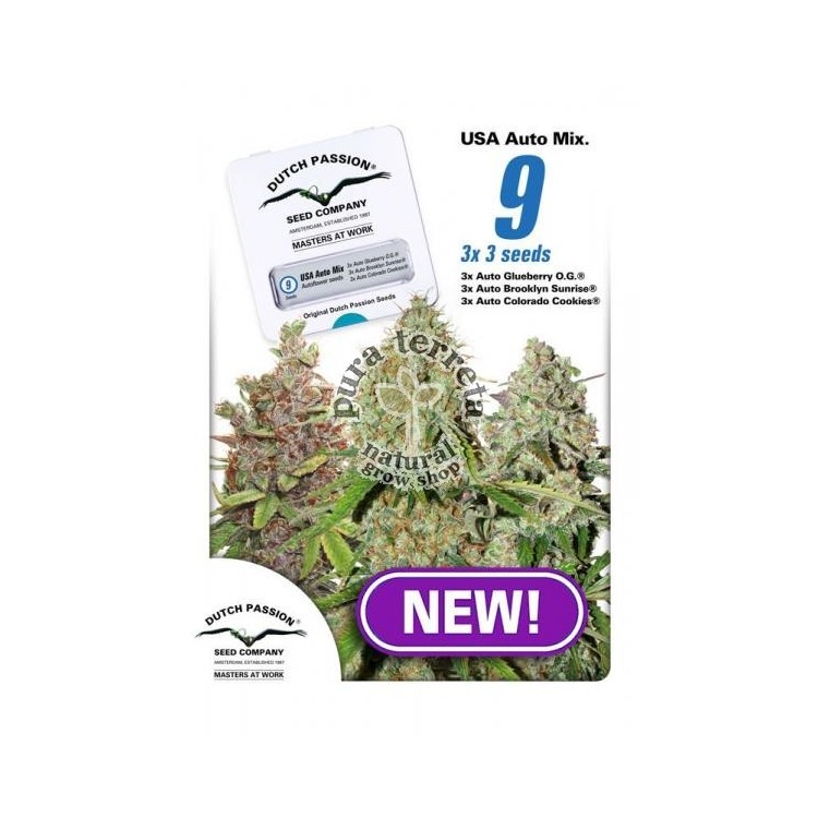 USA Autoflower Mix Dutch Passion