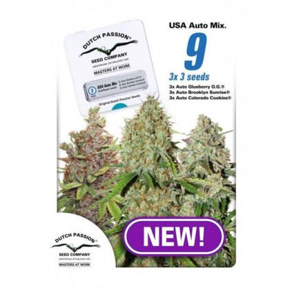 USA Autoflower Mix Dutch Passion