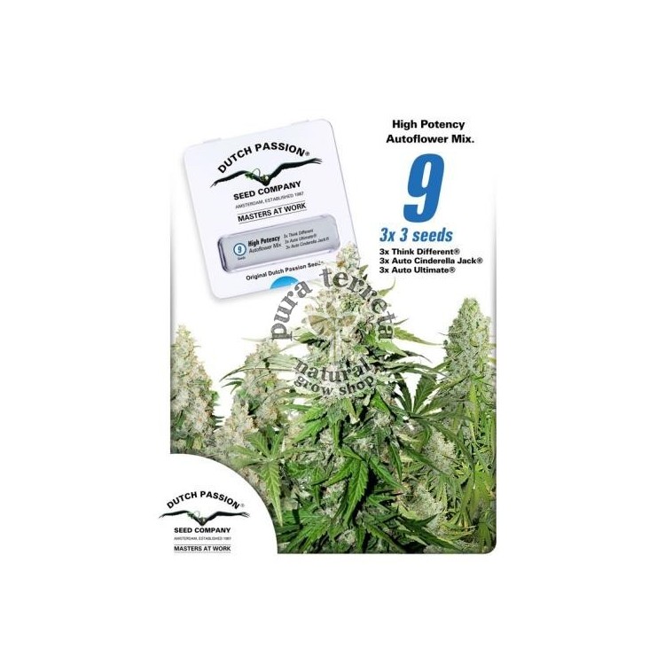 High Potency Autoflower Mix Dutch Passion