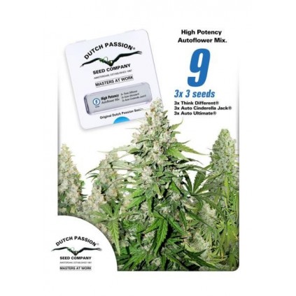 High Potency Autoflower Mix Dutch Passion