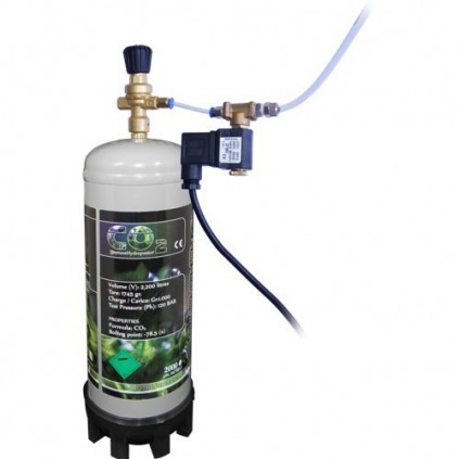Botella desechable 1 Kg