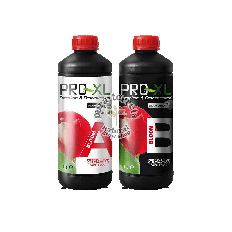 Bloom A&B Pro-XL
