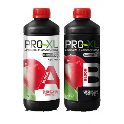 Bloom A&B Pro-XL