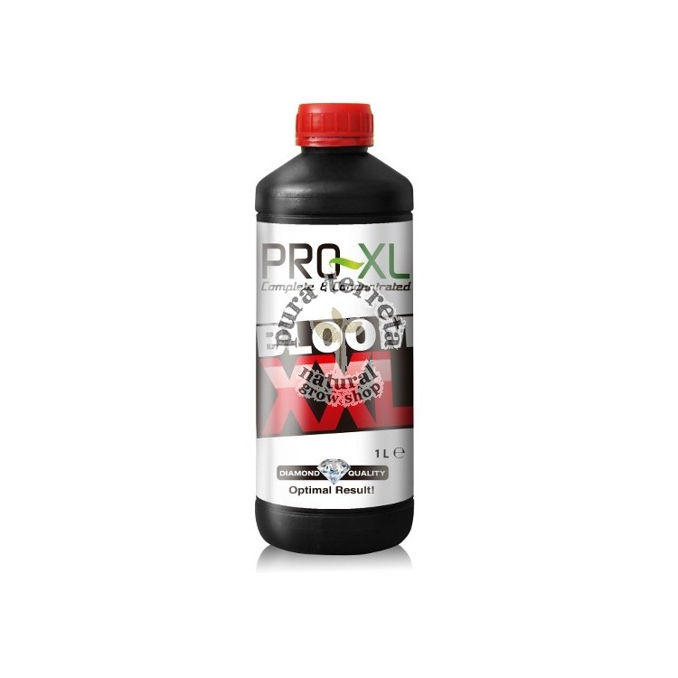 Bloom XXL Pro-XL
