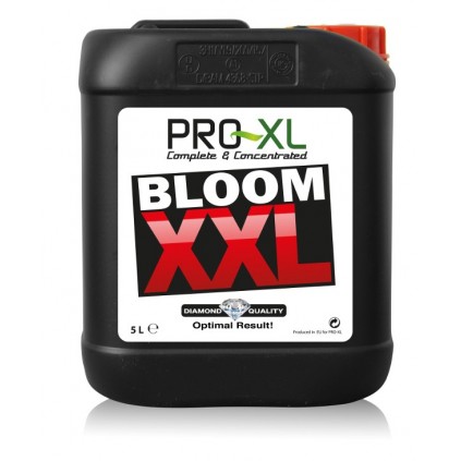 Bloom XXL Pro-XL
