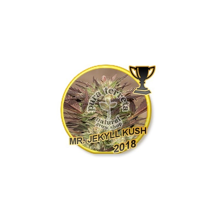 Mr. Jekyll Kush Mr. Hide