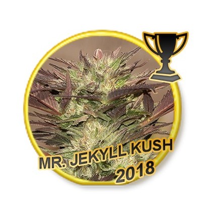 Mr. Jekyll Kush Mr. Hide