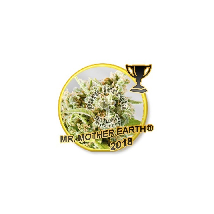 Mr. Mother Earth Mr. Hide