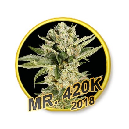 Mr. 420K Mr. Hide