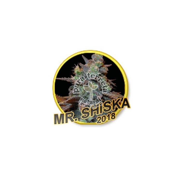 Mr. Shiska Mr. Hide