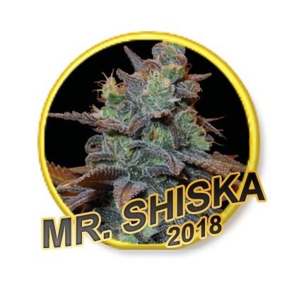 Mr. Shiska Mr. Hide