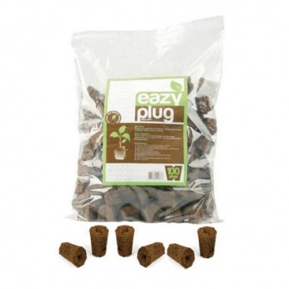 Esponjas secas Easy Plug