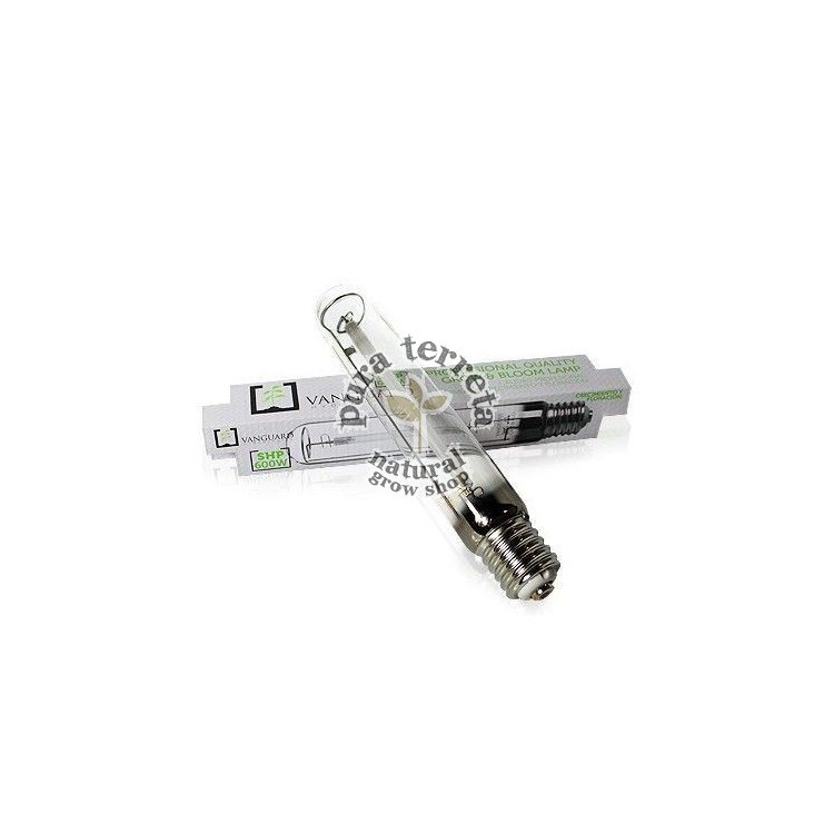 Bombilla Vanguard 600w SHP mixta