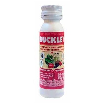 Buckley