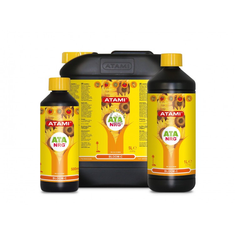 Ata NRG Bloom C