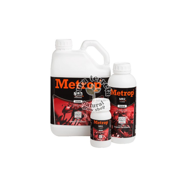 MR2 Metrop 