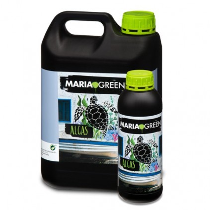Algas Maria Green