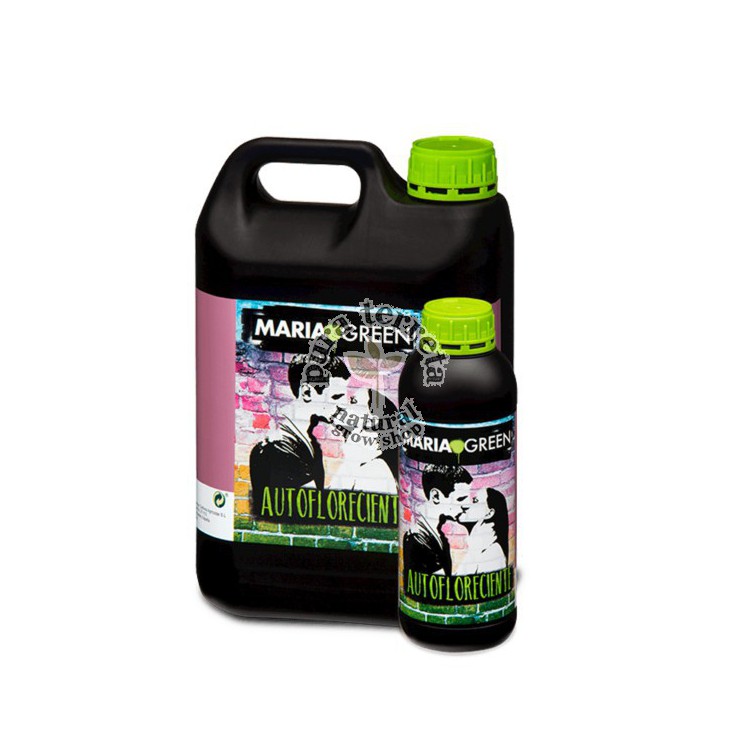 Autofloreciente Maria Green