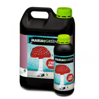 Stop Suelo Maria Green