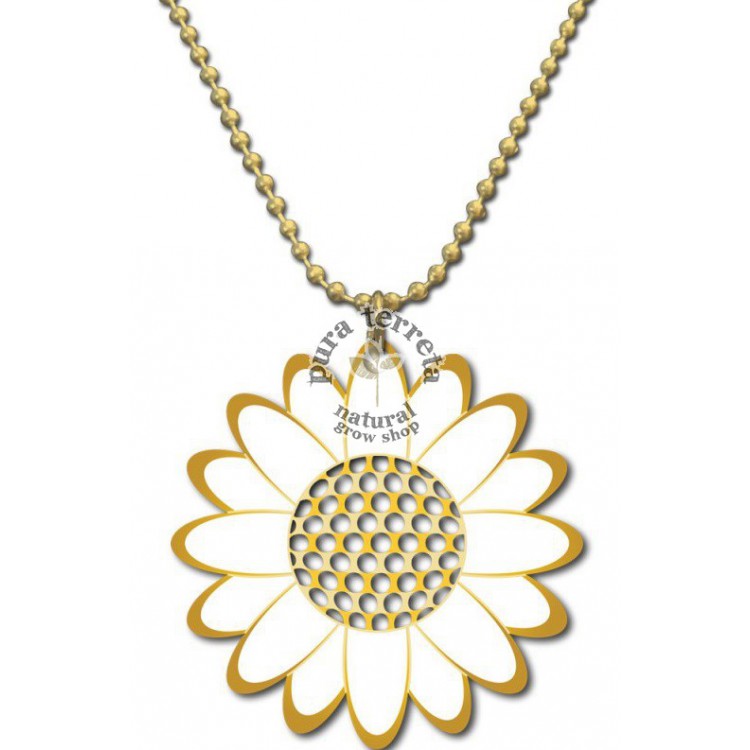 Grinder Daisy