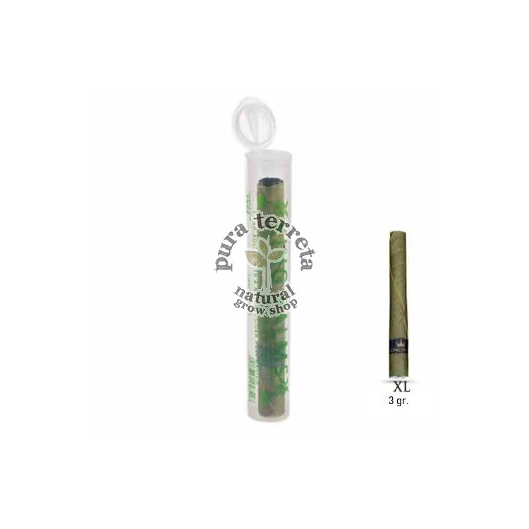 King palm XL 1 unidad