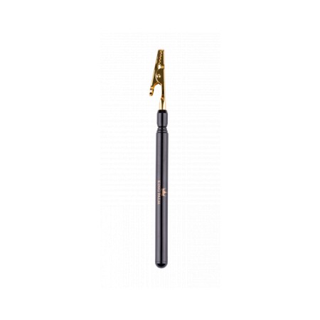 King palm Clip