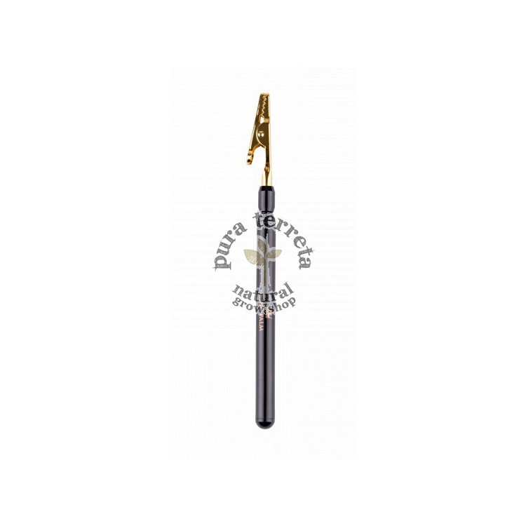 King palm Clip
