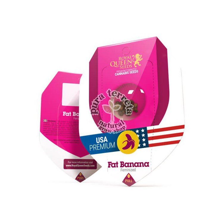Fat Banana Royal Queen Seeds