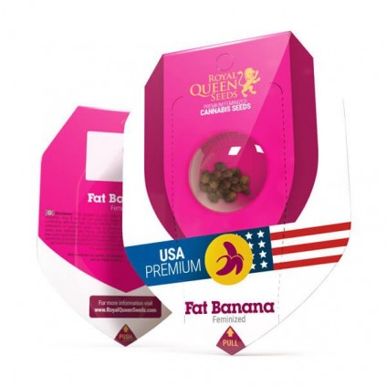 Fat Banana Royal Queen Seeds
