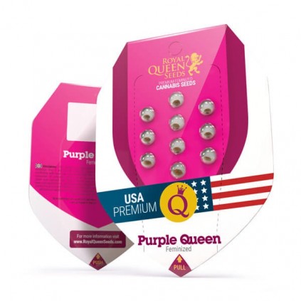 Purple Queen Royal Queen Seeds