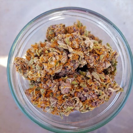 Purple Queen Royal Queen Seeds