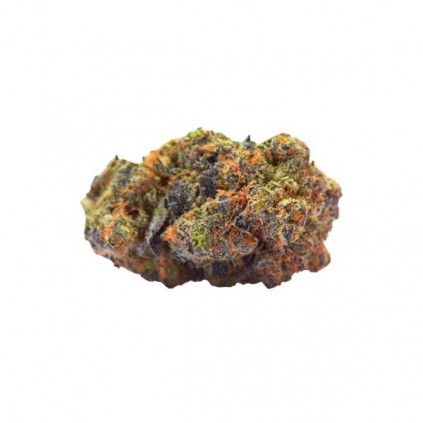 Green Gelato Royal Queen Seeds