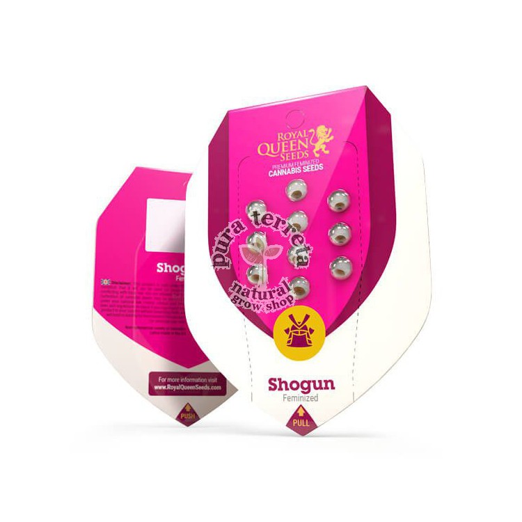 Shogun Royal Queen Seeds