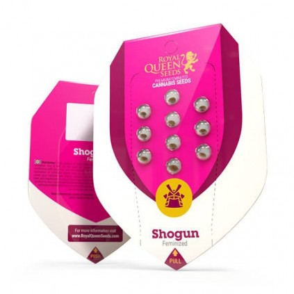 Shogun Royal Queen Seeds