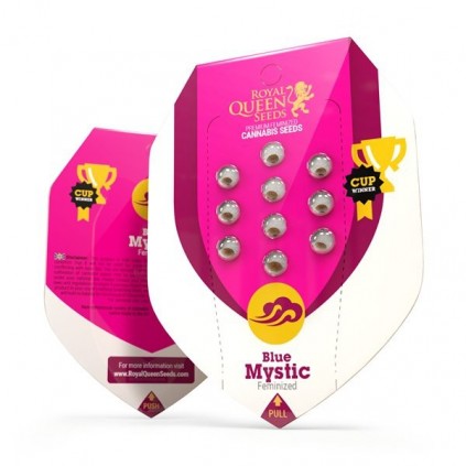 Blue Mystic Royal Queen Seeds