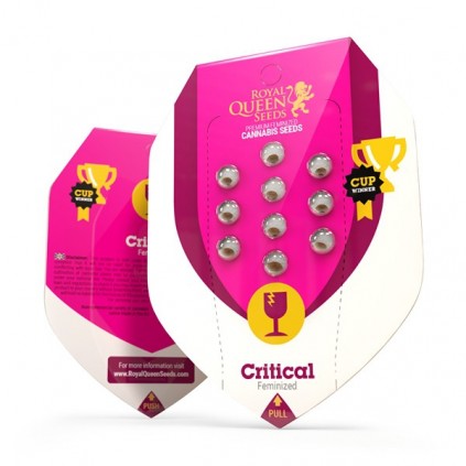 Critical Royal Queen Seeds