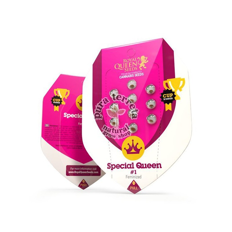 Special Queen 1 Royal Queen Seeds