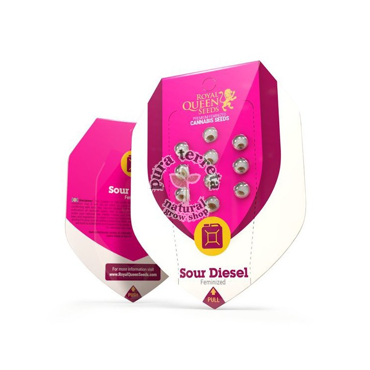 Sour Diesel Royal Queen Seeds