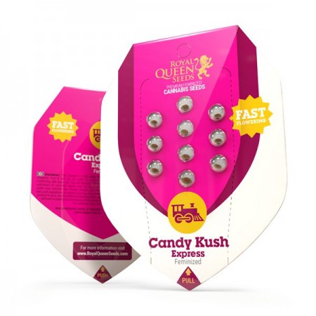 Candy Kush Express (Fast Flowering) RQS