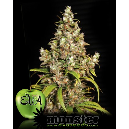 Monster Eva female