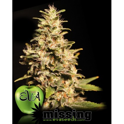 Missing Eva female